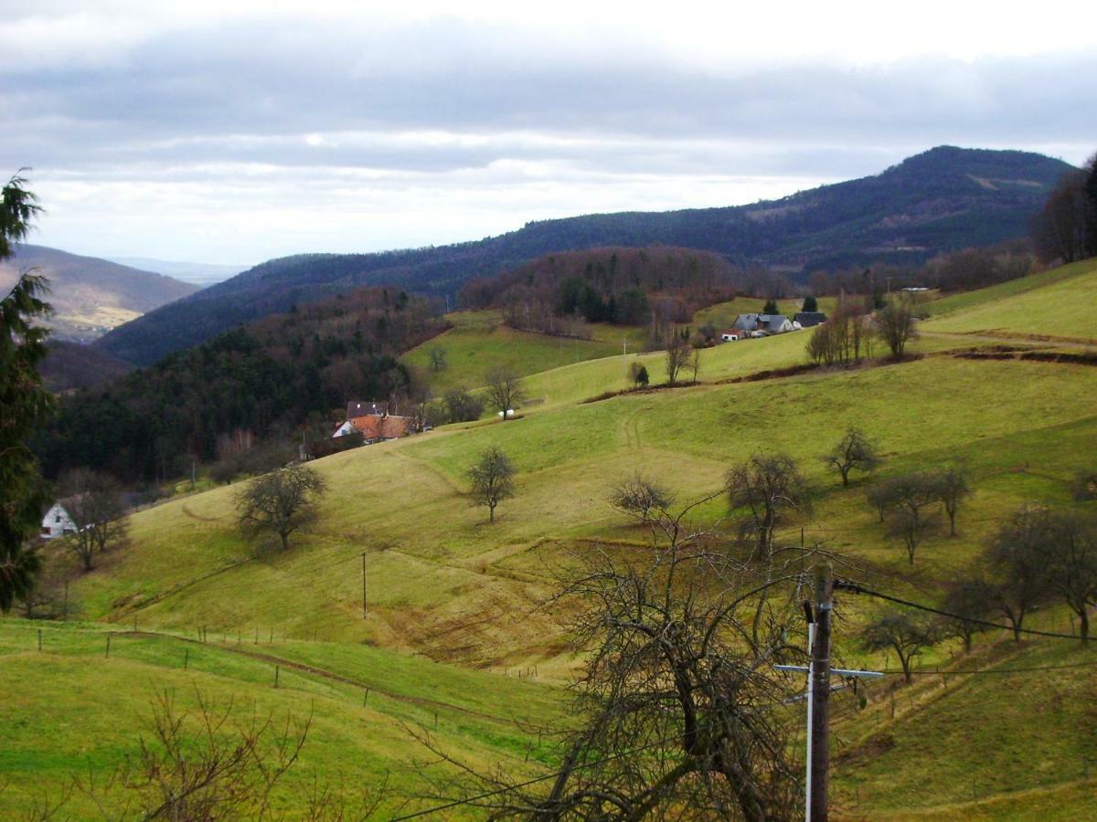 Hebergement Du Chene Фреланд Экстерьер фото